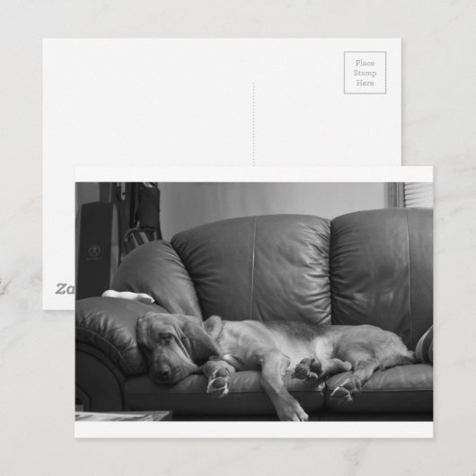 Carte Postale Bella (Devant / Derrière)