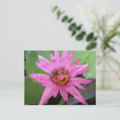 Carte Postale belle annonce de déplacement de nénuphars (Debout devant)