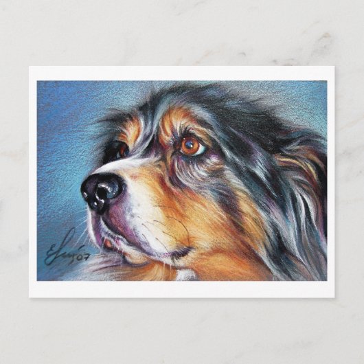 Carte Postale Belle Aussie (Devant)