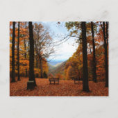 Carte Postale Belle automne (Devant)