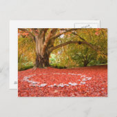 Carte Postale Belle Automne Automne Nature Fée Bague (Devant / Derrière)