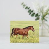 Carte Postale Belle Baie Horse (Debout devant)