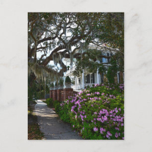 Carte Postale Belle Beaufort, Caroline du Sud