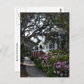 Carte Postale Belle Beaufort, Caroline du Sud (Devant / Derrière)