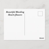 Carte Postale Belle Bleeding Hearts fleurs (Dos)