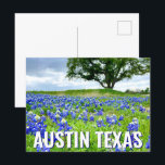 Carte Postale Belle Bluebonnets Austin Texas Photographie<br><div class="desc">Une belle photo de bleuets Austin Texas dans un champ de nature fait une jolie carte postale pour un Texan qui aime les fleurs sauvages. C'est la fleur de l'état et apporte une grande fierté.</div>