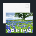 Carte Postale Belle Bluebonnets Austin Texas Photographie<br><div class="desc">Une belle photo de bleuets Austin Texas dans un champ de nature fait une jolie carte postale pour un Texan qui aime les fleurs sauvages. C'est la fleur de l'état et apporte une grande fierté.</div>