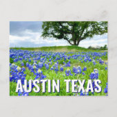 Carte Postale Belle Bluebonnets Austin Texas Photographie (Devant)