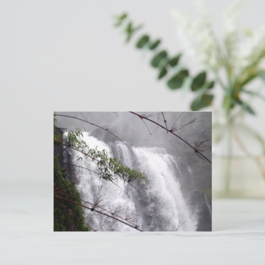 Carte Postale Belle cascade (Debout devant)