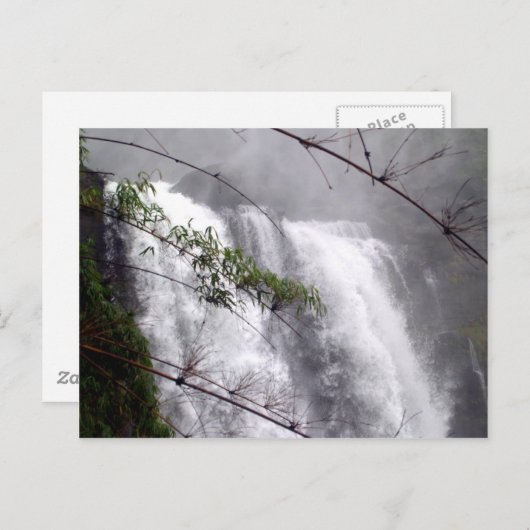 Carte Postale Belle cascade (Devant / Derrière)