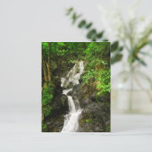 Carte Postale Belle cascade dans une forêt verdoyante (Debout devant)