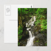 Carte Postale Belle cascade dans une forêt verdoyante (Devant / Derrière)
