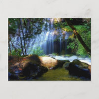 Belle Cascade Paysage de la Jungle