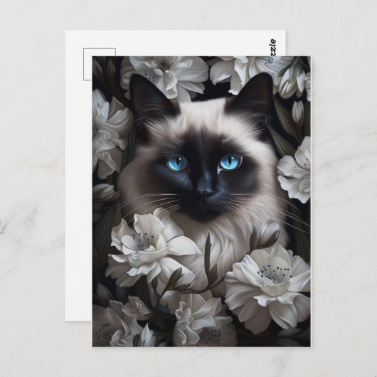 Carte Postale Belle Chat Birman Parmi Les Fleurs Blanches (Devant / Derrière)