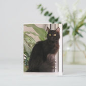 Carte Postale Belle Chat Noir (Debout devant)