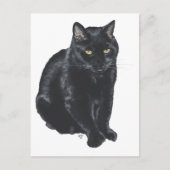 Carte Postale Belle Chat Noir (Devant)