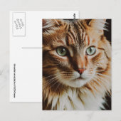 CARTE POSTALE BELLE CHAT TIGRÉ (Devant / Derrière)
