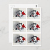 Carte Postale Belle Chiot Vintage Boston Terrier (Devant / Derrière)