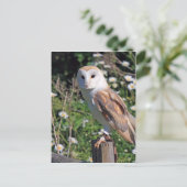 Carte Postale Belle chouette de grange (Debout devant)