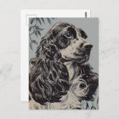 Carte Postale belle cocker spaniel (Devant / Derrière)