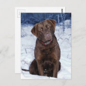 Carte Postale Belle conception de chien Brown (Devant / Derrière)