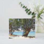 Carte Postale Belle Crète (Debout devant)