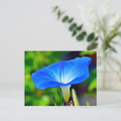 Carte Postale Belle fleur bleue (Debout devant)