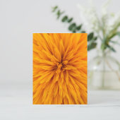 Carte Postale Belle Fleur de Dahlia Jaune (Debout devant)