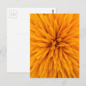 Carte Postale Belle Fleur de Dahlia Jaune (Devant / Derrière)