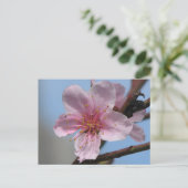 Carte Postale Belle fleur de framboise (Debout devant)