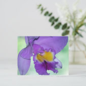 Carte Postale Belle fleur d'orchidée violette (Debout devant)