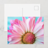 Carte Postale Belle Fleur rose Gros plan Photo (Devant / Derrière)