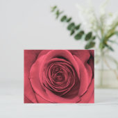 Carte Postale Belle Fleur rose rose florale Photo (Debout devant)