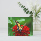 Carte Postale Belle fleur rouge papillon (Debout devant)