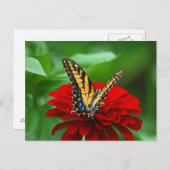 Carte Postale Belle fleur rouge papillon (Devant / Derrière)