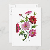 Carte Postale Belle Fleurs de Cosmos en Broderie Crewel (Devant / Derrière)