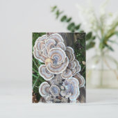 Carte Postale Belle folie de champignons (Debout devant)