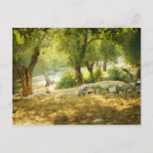 Carte Postale Belle Forêt (Devant)