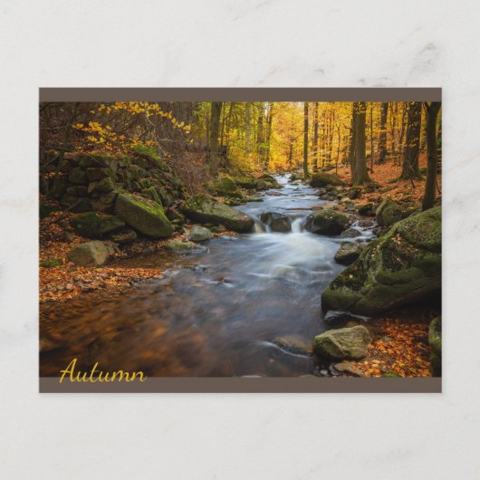 Carte Postale Belle forêt d'automne (Devant)