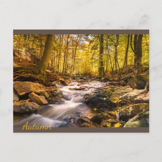 Carte Postale Belle forêt d'automne (Devant)