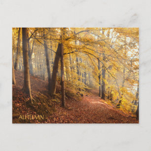 Carte Postale Belle forêt d'automne