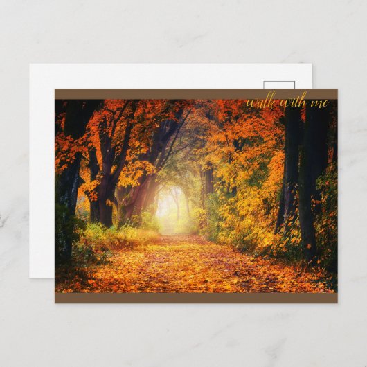 Carte Postale Belle forêt d'automne (Devant / Derrière)