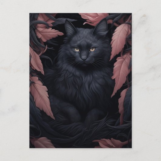Carte Postale Belle fourrure Chat noir (Devant)