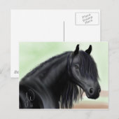 Carte Postale Belle Friesienne (Devant / Derrière)