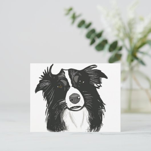 Carte Postale Belle frontière noire et blanche Collie (Debout devant)