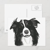 Carte Postale Belle frontière noire et blanche Collie (Devant / Derrière)