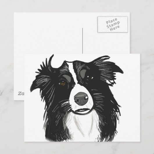 Carte Postale Belle frontière noire et blanche Collie (Devant / Derrière)