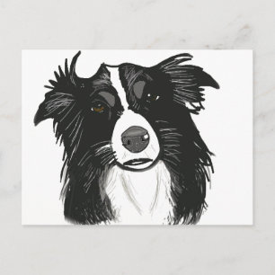 Carte Postale Belle frontière noire et blanche Collie
