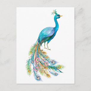 Carte Postale Belle illustration de paon bleu à l'aquarelle