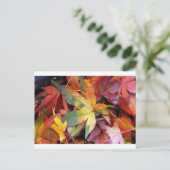 Carte Postale Belle impression de feuilles d'automne (Debout devant)
